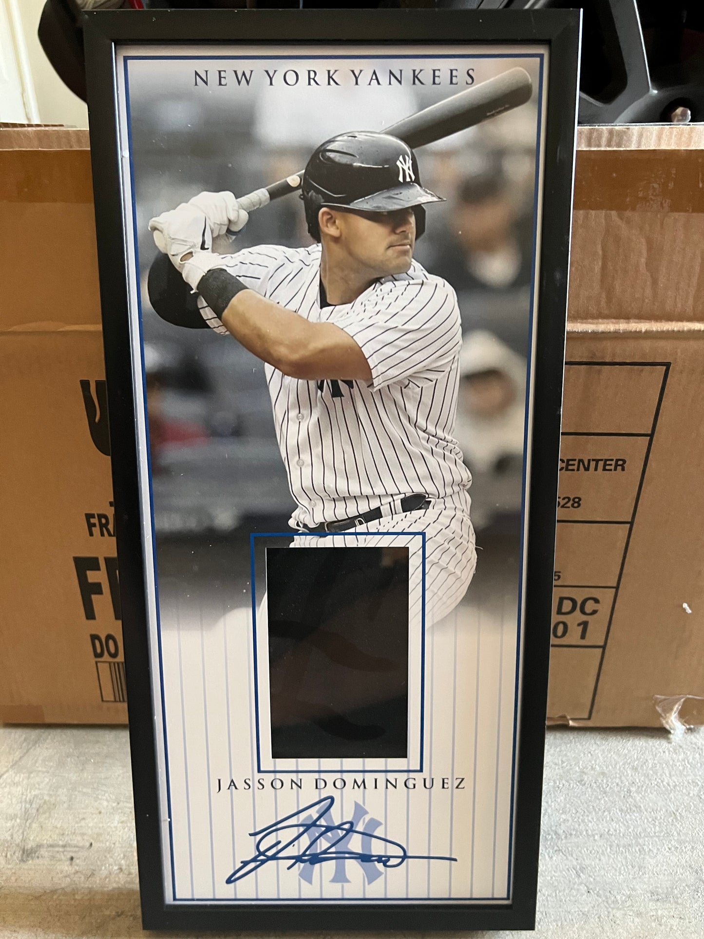 10 x 21 Framed Vinyl Card Display - Jasson Domínguez