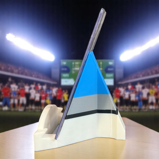 3D printed Detroit Lions card stand NFL