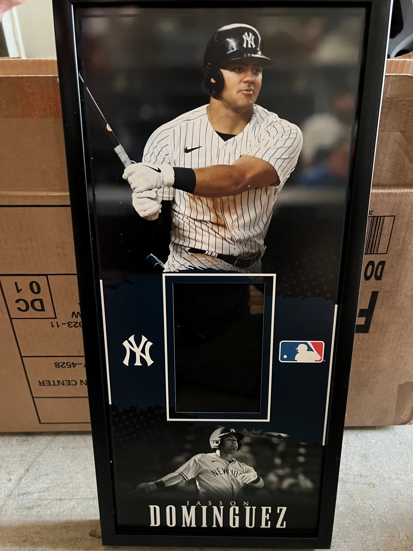 10 x 21 Framed Vinyl Card Display - Jasson Domínguez