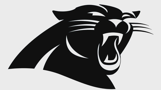 Carolina Panthers NFL Vinyl Decal Window Laptop