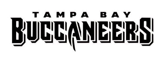 Tampa Bay Buccaneers Die Cut Vinyl Decal Sticker Carving Truck Laptop Camper